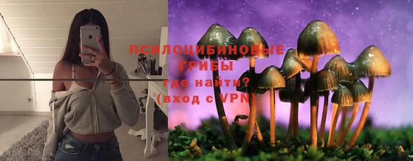 шишки Бронницы