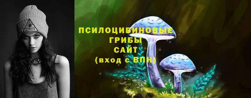 Галлюциногенные грибы Psilocybine cubensis  Ахтубинск 